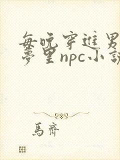 每晚穿进男神的梦里npc小说
