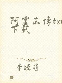 阿宾正传txt下载