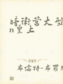 暗卫营大型hpn皇上