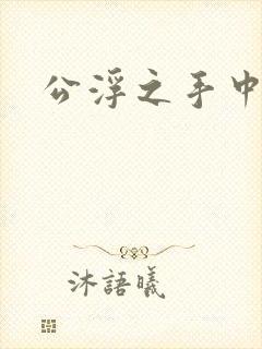 公浮之手中字5