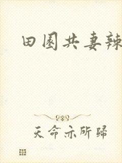 田园共妻辣