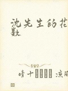 沈先生的花式调数