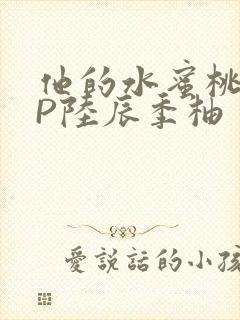 他的水蜜桃POP陆辰季柚