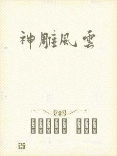 神雕风云