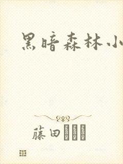 黑暗森林小说