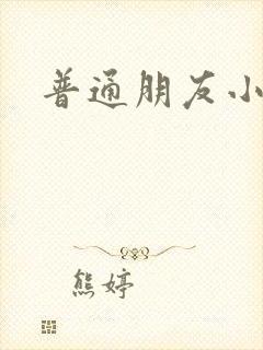 普通朋友小说