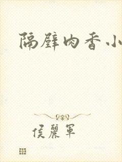 隔壁肉香小说