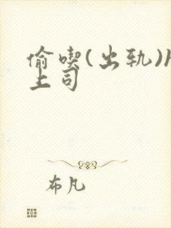 偷吃(出轨)h上司