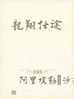 龙翔仕途