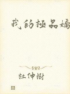 我的极品娇妻