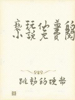 亵玩仙尊的道侣小说免费阅读