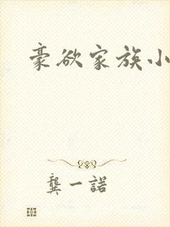 豪欲家族小说