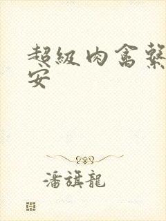 超级肉禽系统保安