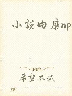 小说肉糜np