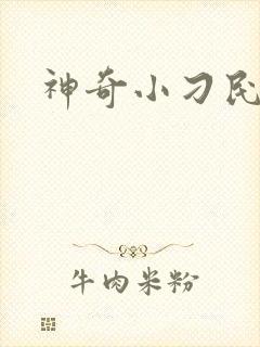 神奇小刁民