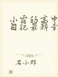 小霜的高中成长日记最新章节