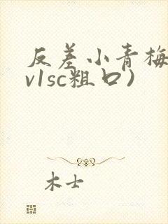 反差小青梅(1v1sc粗口)