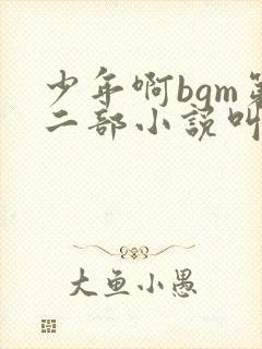 少年啊bgm第二部小说叫什么