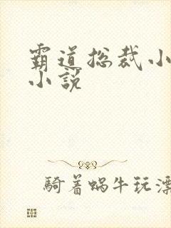 霸道总裁小娇妻小说