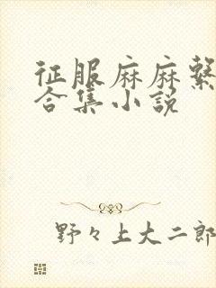 征服麻麻系列大合集小说