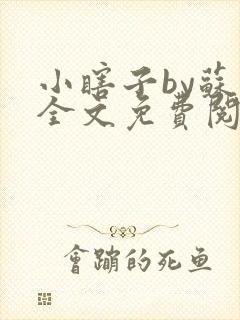 小瞎子by苏软全文免费阅读