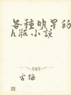 各种明星的综艺h版小说