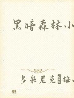 黑暗森林小说