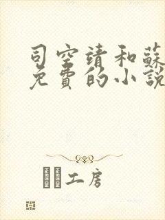 司空靖和苏月汐免费的小说笔趣阁