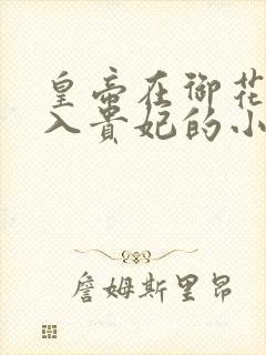 皇帝在御花园进入贵妃的小说