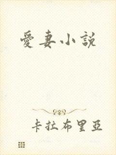 爱妻小说