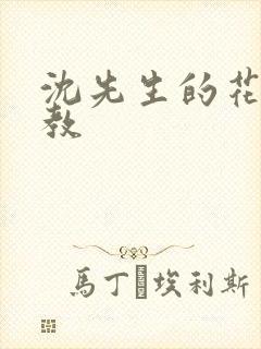 沈先生的花式调教