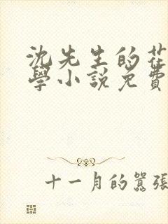 沈先生的花式教学小说免费