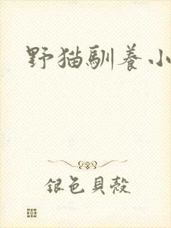 野猫驯养小说