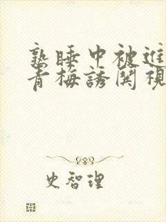 熟睡中被进了H青梅诱哄视频