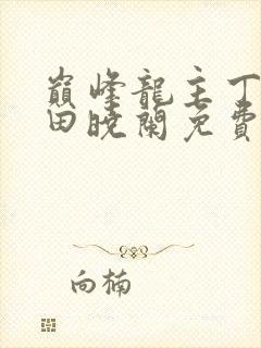 巅峰龙主丁长顺田晓兰免费阅读