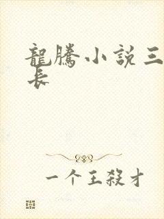 龙腾小说三宝局长