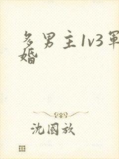 多男主1v3军婚