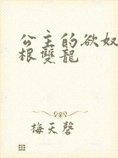 公主的欲奴h四根双龙