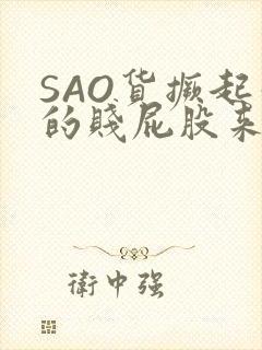 SAO货撅起你的贱屁股来