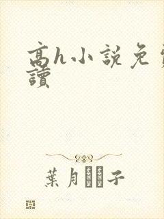 高h小说免费阅读