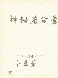 神秘老公惹不起