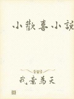 小欢喜小说