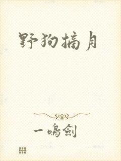 野狗摘月