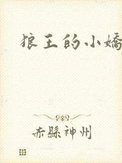 狼王的小娇妻