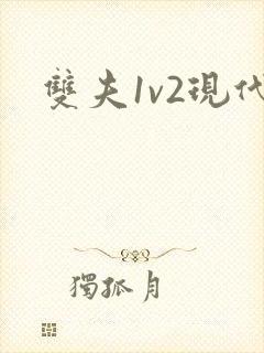 双夫1v2现代