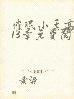 催眠小柔高达第13章免费阅读