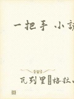 一把手 小说