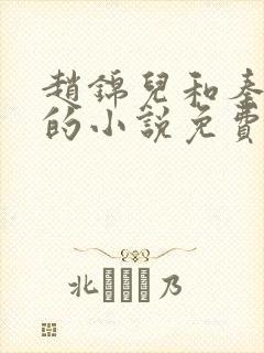 赵锦儿和秦慕修的小说免费阅读全文