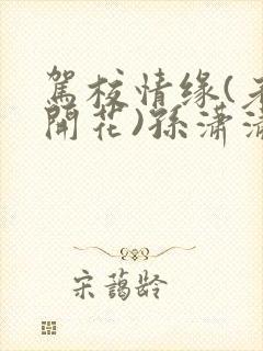 驾校情缘(老树开花)孙潇潇第一次趣笔阁