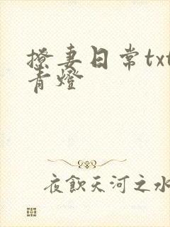 撩妻日常txt青灯